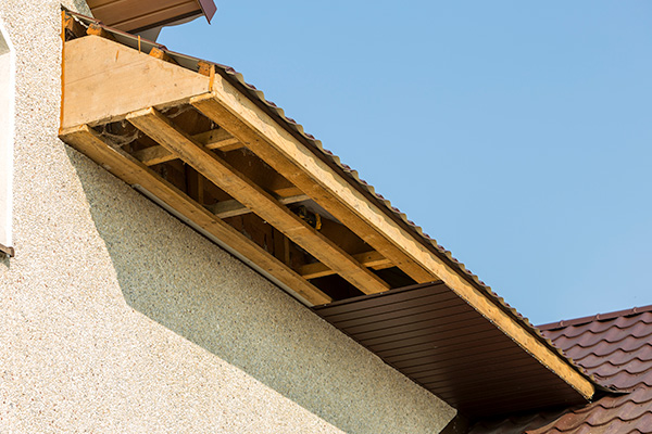 attic pest control and air ventilation.